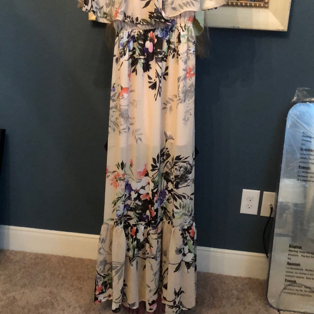 GORGEOUS Floral Chiffon Maxi Dress, formal Semi-formal, floor length, like new - Picture 3 of 3